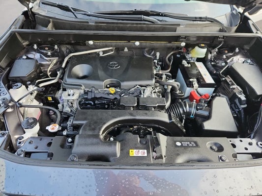 2019 Toyota RAV4 XLE Premium in Owensboro, KY - Don Moore Nissan