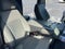 2024 Ford Super Duty F-250 SRW XLT