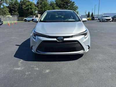 2024 Toyota Corolla Hybrid XLE