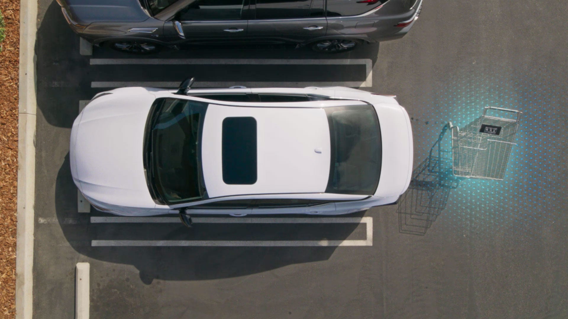 2026 Nissan Altima | Don Moore Nissan in Owensboro, KY